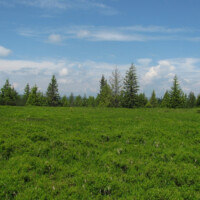 Hekerová (1260 m n.m.) Hekerová (1260 m n.m.)