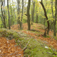 Hrad Sokoľ – zrúcanina