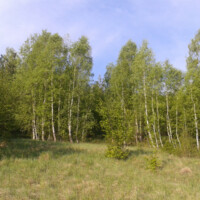 Prírodná pamiatka Kavečianska stráň Prírodná pamiatka Kavečianska stráň