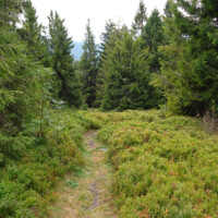 Kloptaň (1153 m n.m.) Kloptaň (1153 m n.m.)