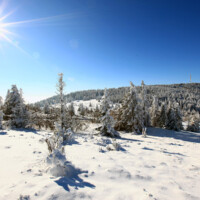 Kojšovská hoľa (1246 m n.m.) - Kojšovka