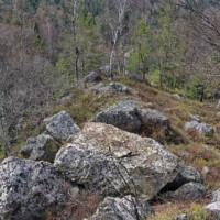 Vrch Koľvek (800 m n. m.) a skalné mesto Koľvek