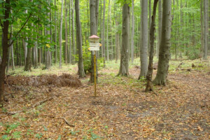 Kráľová studňa (700 m n.m.)