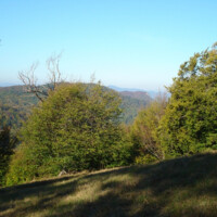 Vrch Prielohy (788,4 m.n.m.) a Lúka na Prielohách (Velesová hora) Vrch Prielohy (788,4 m.n.m.) a Lúka na Prielohách (Velesová hora)