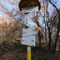 Roháčka – Talafúsov vrch (1028 m n. m.) a Rozsypaná skala (1000 m n.m.)