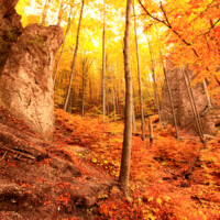 Turniská a Turniská klenba Turniská a Turniská klenba