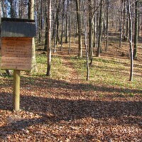 Sedlo Repy – sedlo pod Vysokým vrchom (803 m n.m.)