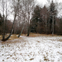 Železný vrch (818 m n.m.) – vrchol Železný vrch (818 m n.m.) – vrchol