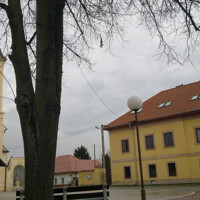 Kostol nanebovzatia Panny Márie v Šaci Kostol nanebovzatia Panny Márie v Šaci