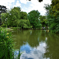Barčiansky park, Fotograf: Jozef Mareček (https://www.facebook.com/jozef.marecek.94) Barčiansky park