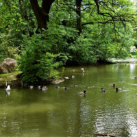 Barčiansky park, Fotograf: Jozef Mareček (https://www.facebook.com/jozef.marecek.94) Barčiansky park