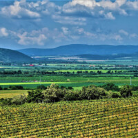 Rozhľadňa Tokaj, Fotograf: Jozef Mareček (https://www.facebook.com/jozef.marecek.94) Rozhľadňa Tokaj, Fotograf: Jozef Mareček (https://www.facebook.com/jozef.marecek.94)
