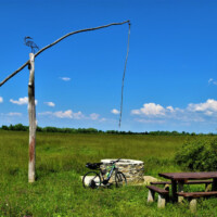 Senianske rybníky Senianske rybníky