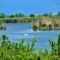 Senianske rybníky Senianske rybníky