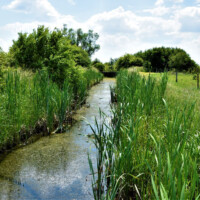 Senianske rybníky Senianske rybníky