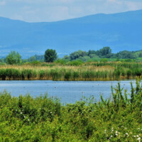 Senianske rybníky Senianske rybníky