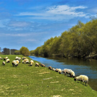 Rieka Ondava Rieka Ondava