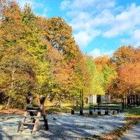 Lesopark Furča Lesopark Furča, zdroj foto: Monika Uhrinová (https://www.facebook.com/monika.uhrinova.798)