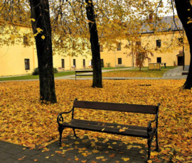 Pavlínsky kláštor v Trebišove Pavlínsky kláštor v Trebišove