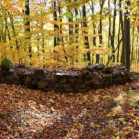 Hrad Braničev – Parušťan Hrad Braničev – Parušťan