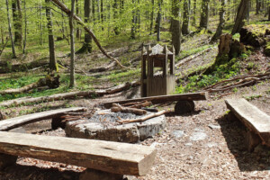 Kráľová studňa (700 m n.m.)