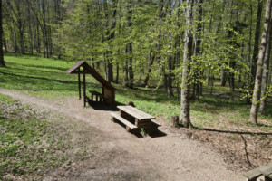 default Kráľová studňa (700 m n.m.)