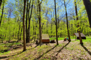 Kráľová studňa (700 m n.m.)