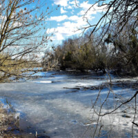 Rieka Bodrog Rieka Bodrog