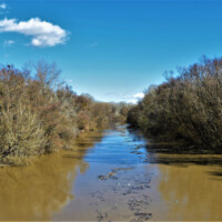 Rieka Bodrog Rieka Bodrog