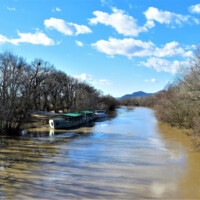 Rieka Bodrog Rieka Bodrog