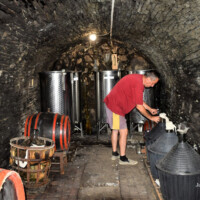 Malohorešské vínne pivnice, Fotograf: Jozef Mareček (https://www.facebook.com/jozef.marecek.94) Malohorešské vínne pivnice