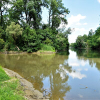 Rieka Bodrog Rieka Bodrog