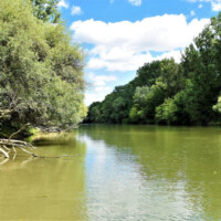 Rieka Bodrog Rieka Bodrog