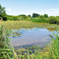 Somotorský kanál Somotorský kanál