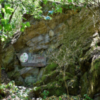 Národná prírodná rezervácia Tajba Národná prírodná rezervácia Tajba