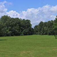 Chránený areál Boršiansky les Chránený areál Boršiansky les