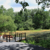 Chránený areál Boršiansky les Chránený areál Boršiansky les