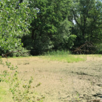 Chránený areál Boršiansky les Chránený areál Boršiansky les