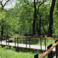 Chránený areál Boršiansky les Chránený areál Boršiansky les