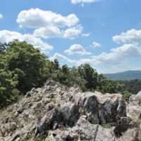 Vrch Sivec (781 m n.m.), fotograf: Marcinčin Jozef Vrch Sivec (781 m n.m.), fotograf: Marcinčin Jozef