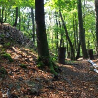 Kysacký hrad - zrúcanina Kysacký hrad - zrúcanina