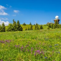 Kojšovská hoľa (1246 m n.m.) - Kojšovka