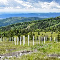 Kojšovská hoľa (1246 m n.m.) - Kojšovka, Fotograf: Jozef Mareček (https://www.facebook.com/jozef.marecek.94) Kojšovská hoľa (1246 m n.m.) - Kojšovka