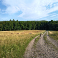 Herlianske sedlo (660 m n. m.) Herlianske sedlo (660 m n. m.)