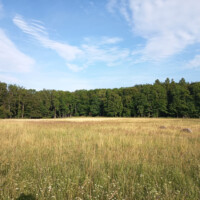 Herlianske sedlo (660 m n. m.) Herlianske sedlo (660 m n. m.)