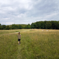 Herlianske sedlo (660 m n. m.) Herlianske sedlo (660 m n. m.)