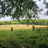 Herlianske sedlo (660 m n. m.) Herlianske sedlo (660 m n. m.)