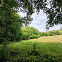 Herlianske sedlo (660 m n. m.) Herlianske sedlo (660 m n. m.)