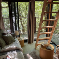 Lesodom vo Vyšnom Medzeve Lesodom vo Vyšnom Medzeve