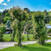 Botanická záhrada v Košiciach, Fotograf: Jozef Mareček (https://www.facebook.com/jozef.marecek.94) Botanická záhrada v Košiciach